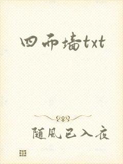 四面墙txt