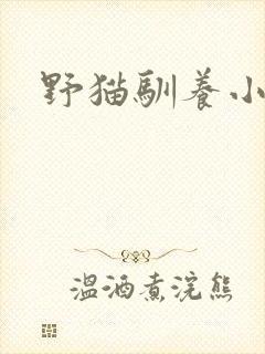 野猫驯养小说