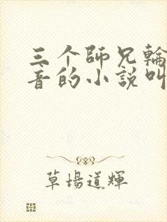 三个师兄轮流上音的小说叫什么