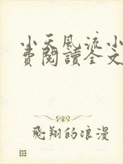 小天风流小说免费阅读全文最新章节