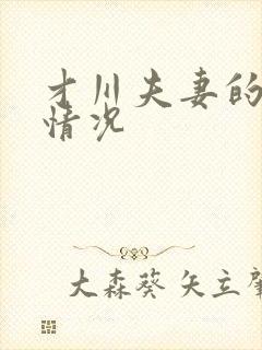 才川夫妻的恋爱情况