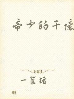 帝少的千亿宠儿