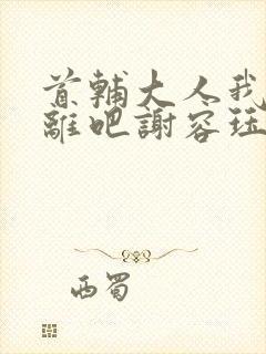 首辅大人我们和离吧谢容珏