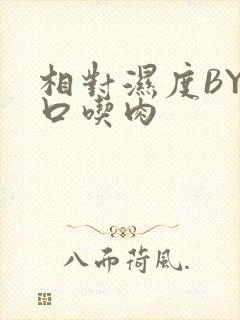 相对湿度BY大口吃肉