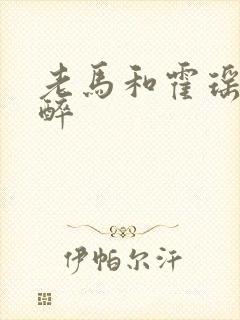 老马和霍瑶瑶喝醉