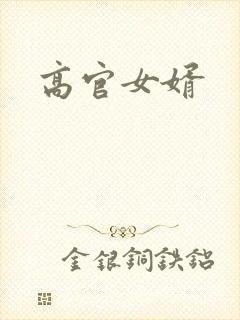 高官女婿