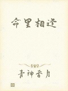 命里相逢