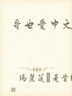 哥也爱中文