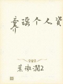 童瑶个人资料简介