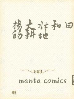 杨大壮和田桂花的耕地