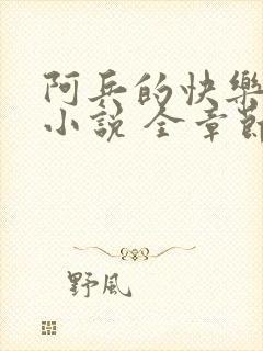 阿兵的快乐生活小说 全章节阅读免费