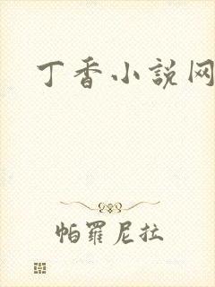 丁香小说网