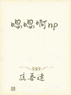 嗯嗯啊np