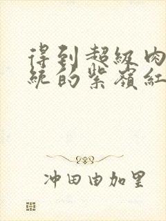 得到超级肉禽系统的紫岭红山