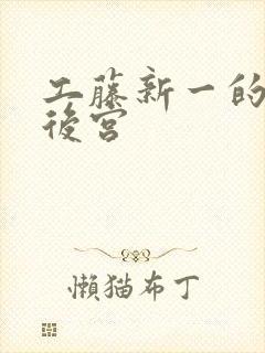 工藤新一的日本后宫