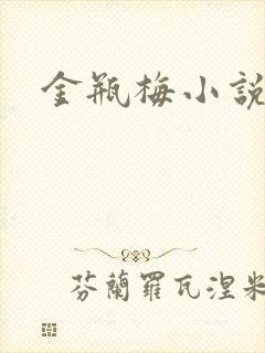 金瓶梅小说在线