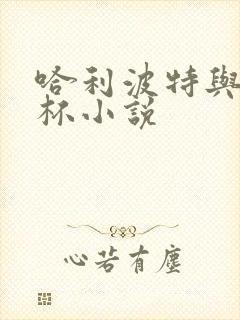 哈利波特与火焰杯小说