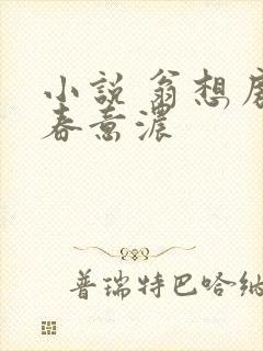 小说 翁想房中春意浓