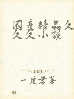 国产精品久久久久久小说