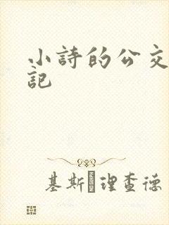 小诗的公交车日记