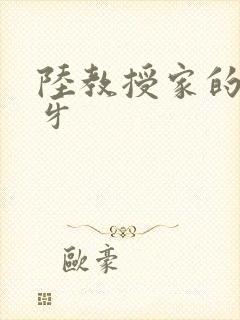 陆教授家的小月牙