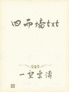 四面墙txt