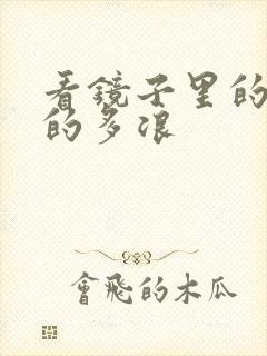 看镜子里的你叫的多浪