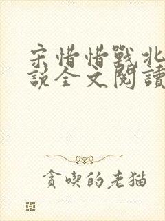 宋惜惜战北望小说全文阅读