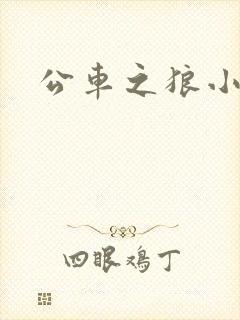 公车之狼小说