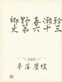 乡野春潮干柴烈火第六十三章