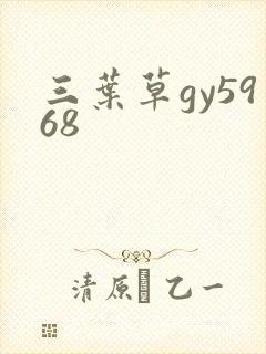三叶草gy5968
