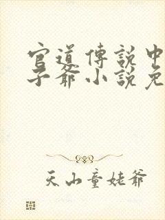 官道传说中的太子爷小说免费阅读