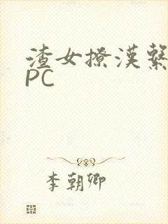 渣女撩汉系统NPC