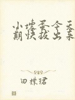 小坏蛋今天危险期快拔出来