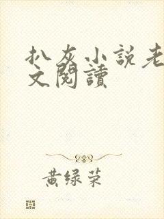 扒灰小说老马全文阅读