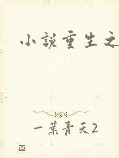 小说重生之官道