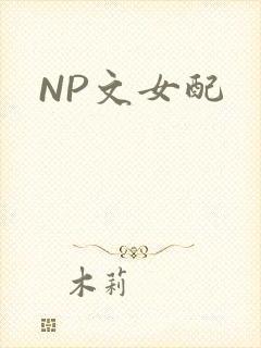 NP文女配