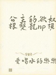 公主的欲奴h四根双龙np视频