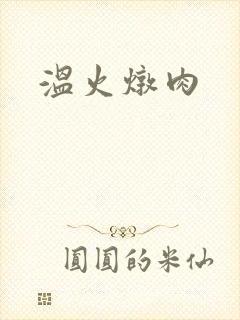 温火炖肉