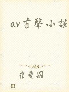 av有声小说