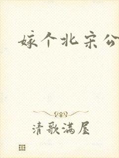 嫁个北宋公务员