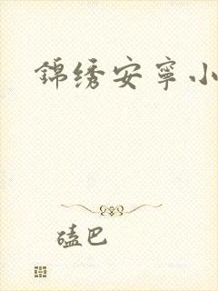 锦绣安宁小说