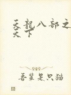 天龙八部之猎美天下