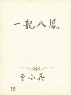 一龙八凤