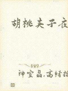 胡桃夹子夜未眠
