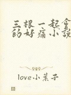 三根一起会坏掉的好痛小说