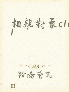 相亲对象c1v1