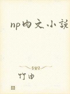 np肉文小说