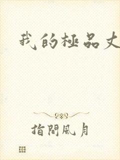 我的极品丈母娘