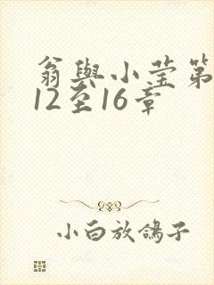 翁与小莹第十部12至16章